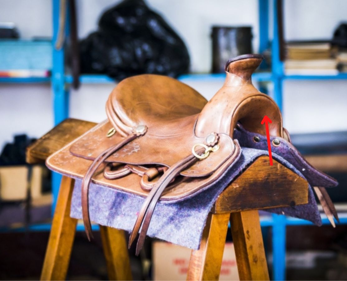 Parts of the English and Western Horse Saddle (Explained) The Helpful Vet