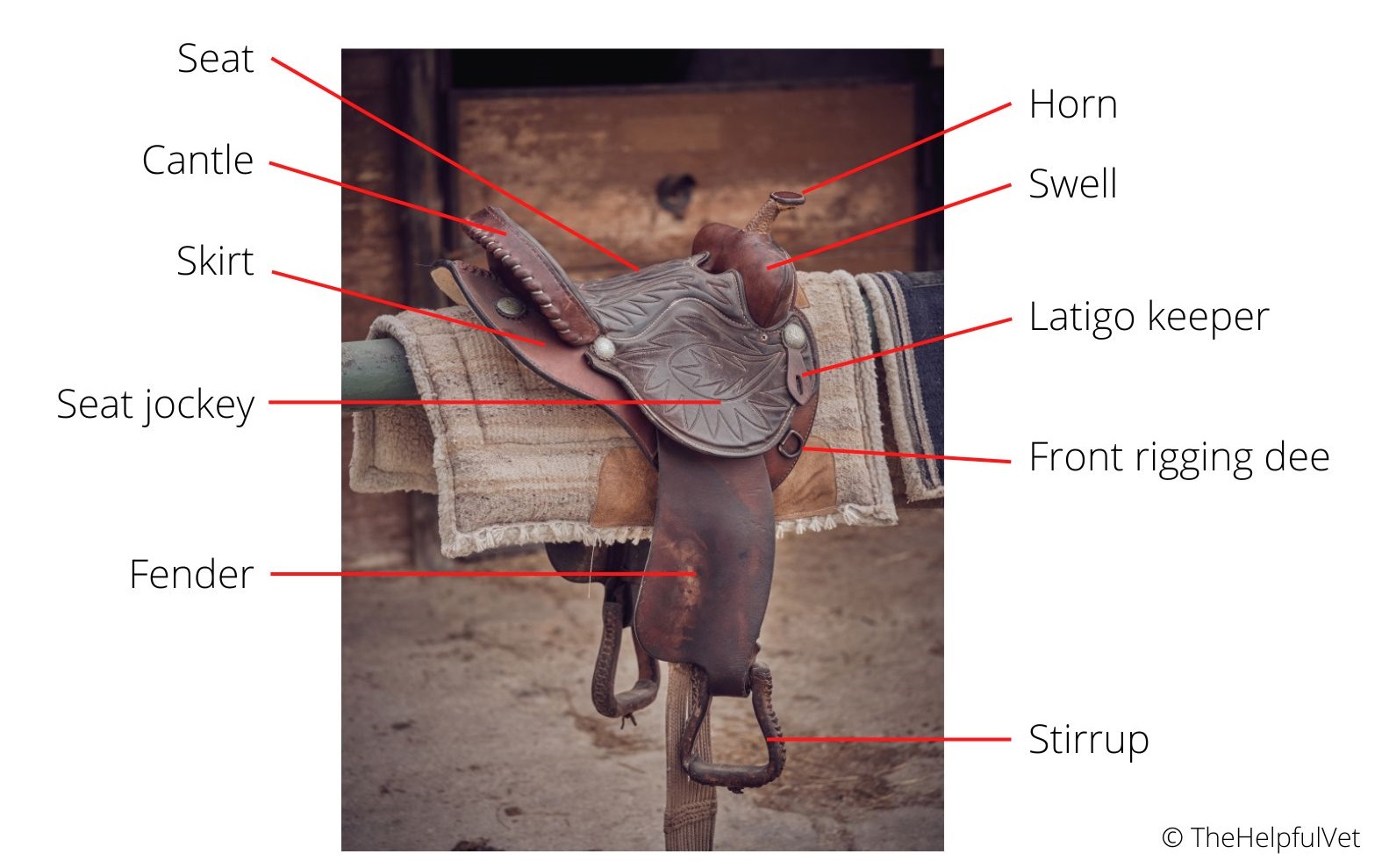 Parts of the English and Western Horse Saddle (Explained) The Helpful Vet