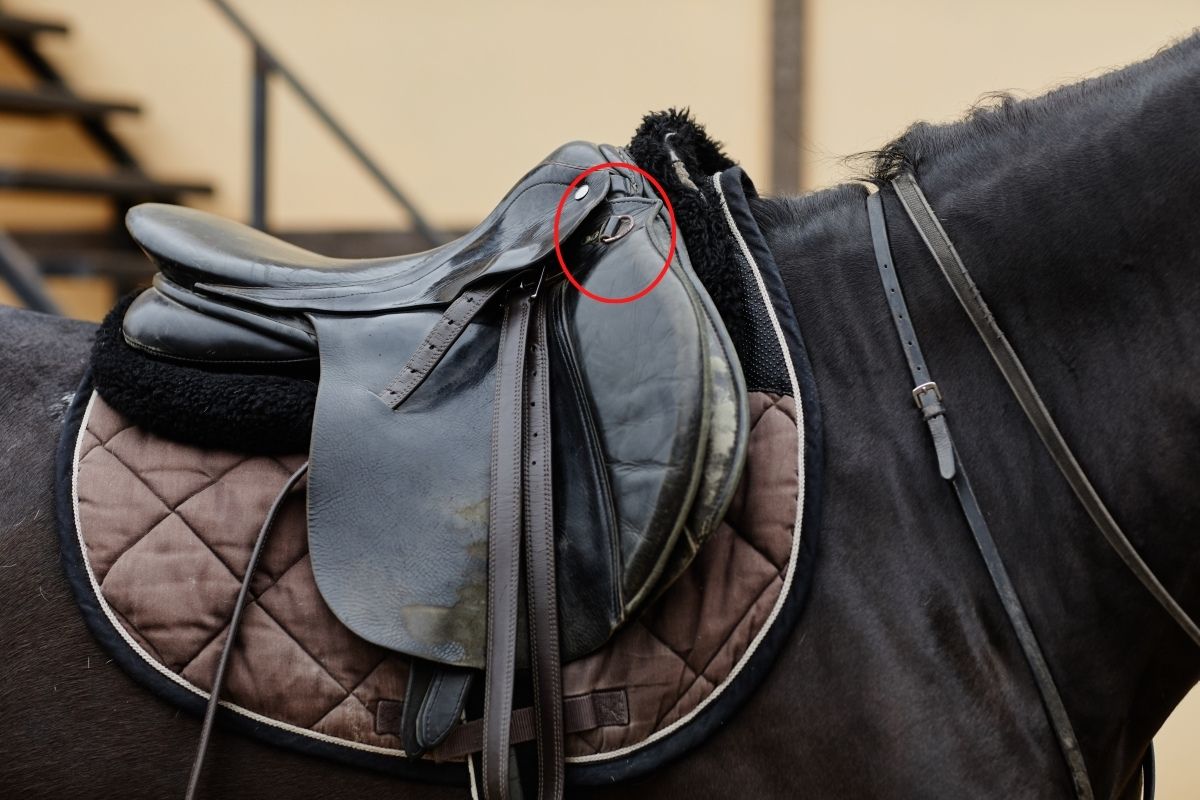 Parts of the English and Western Horse Saddle (Explained) The Helpful Vet