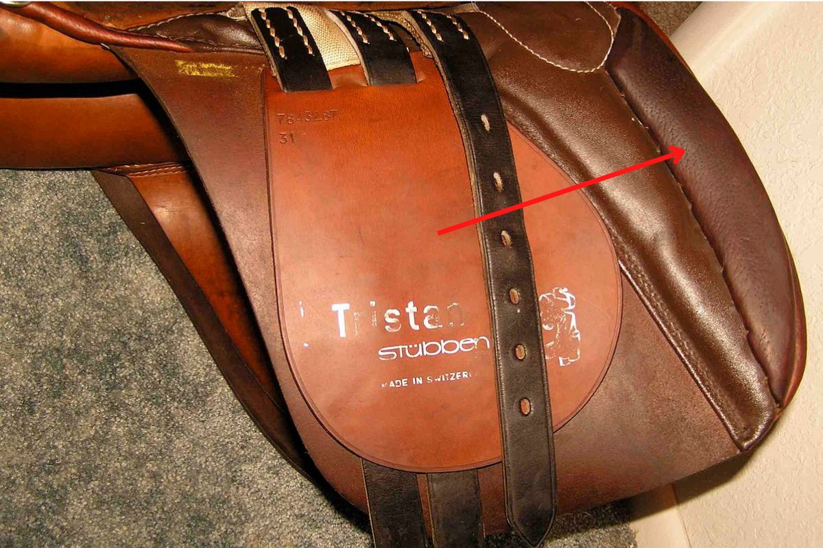 Parts of the English and Western Horse Saddle (Explained) – The Helpful Vet