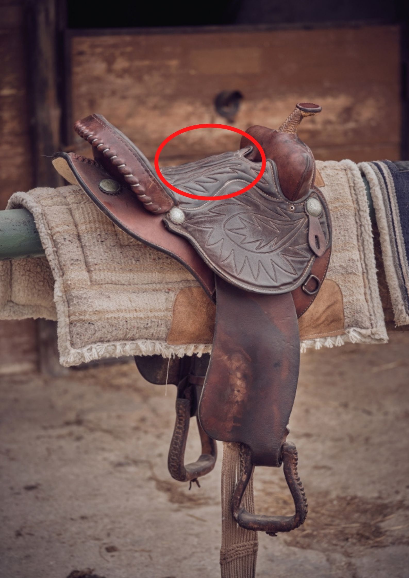Parts of the English and Western Horse Saddle (Explained) The Helpful Vet